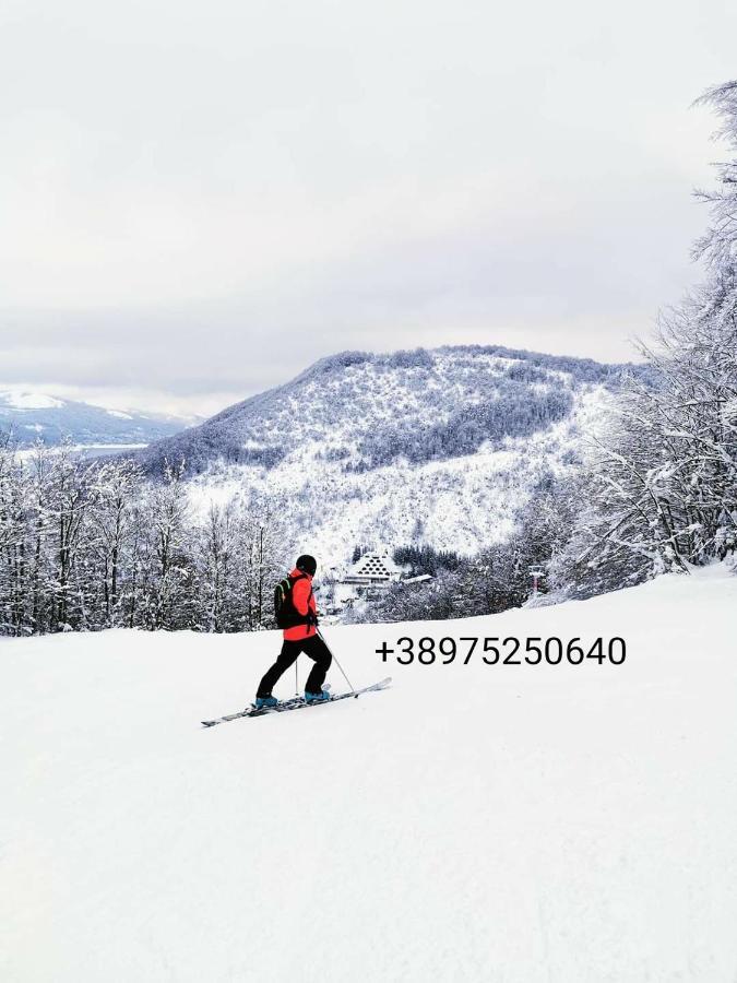 Mavrovo Forest Apartments Kültér fotó