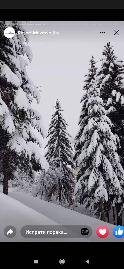 Mavrovo Forest Apartments Kültér fotó