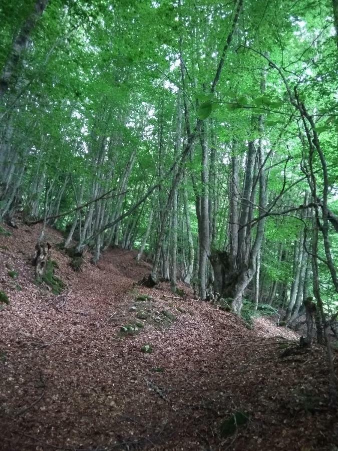 Mavrovo Forest Apartments Kültér fotó