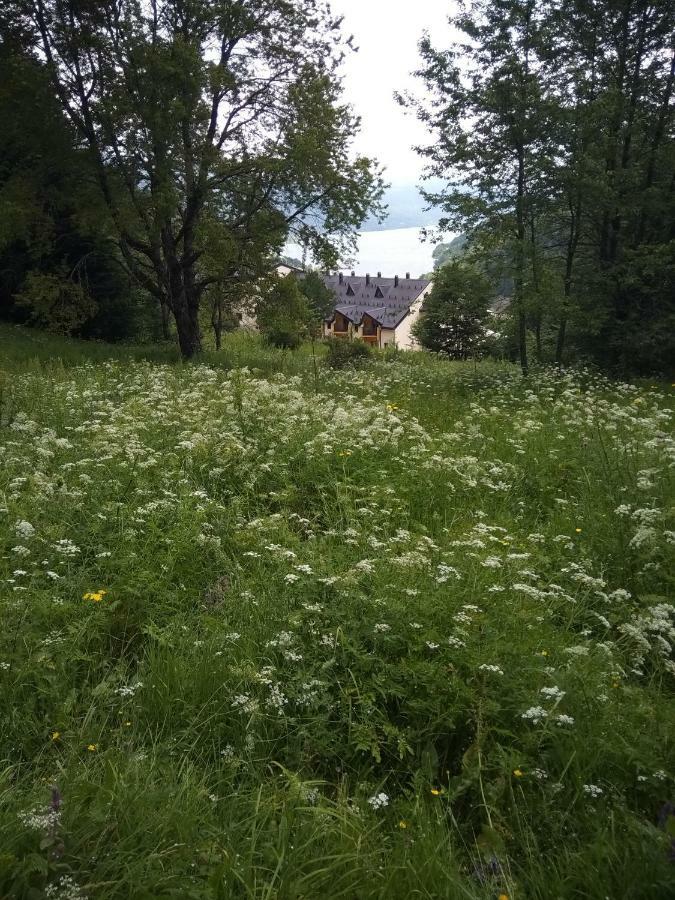 Mavrovo Forest Apartments Kültér fotó