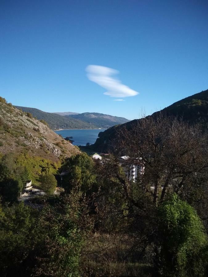 Mavrovo Forest Apartments Kültér fotó