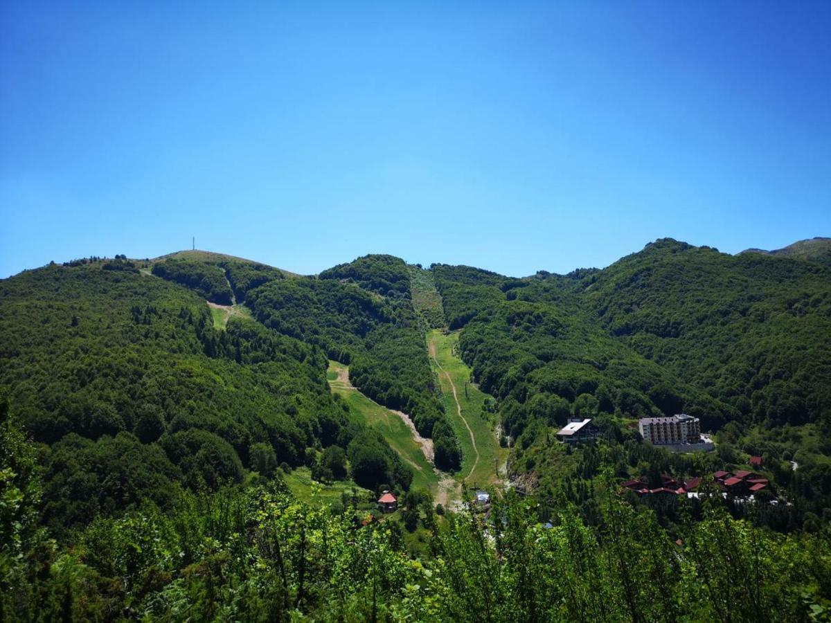 Mavrovo Forest Apartments Kültér fotó